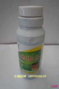 地倍力